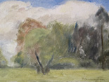 Apple Trees and Locust, Sheffield