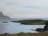 Dj&uacute;pivogur