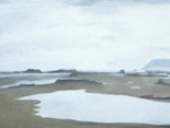 Pool, Dj&uacute;pivogur